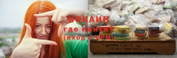 мдпв Гусь-Хрустальный