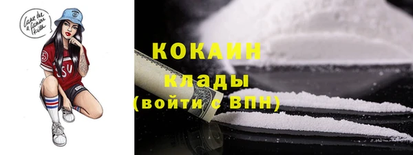 мдпв Гусь-Хрустальный