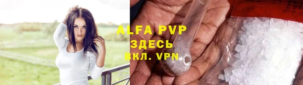 mdpv Гусев