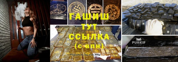 мдпв Гусь-Хрустальный