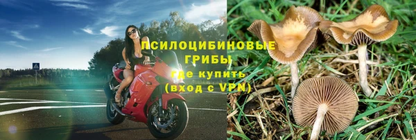 mdpv Гусев