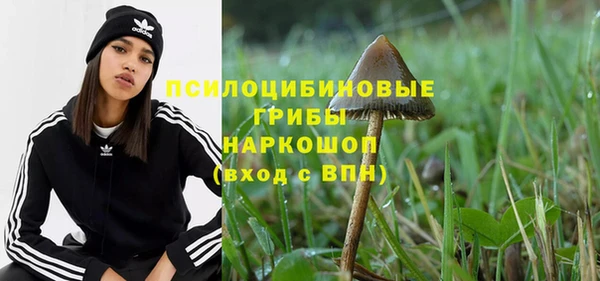 mdpv Гусев
