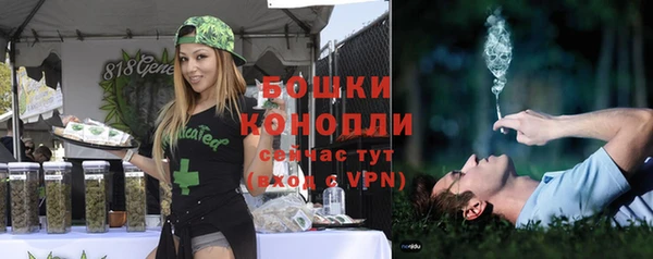 мдпв Гусь-Хрустальный